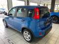 Fiat Panda 1.0 firefly hybrid s&s 70cv 5pti Blu/Azzurro - thumbnail 5