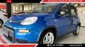 Fiat Panda 1.0 firefly hybrid s&s 70cv 5pti Blu/Azzurro - thumbnail 1
