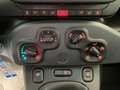 Fiat Panda 1.0 firefly hybrid s&s 70cv 5pti Blu/Azzurro - thumbnail 13