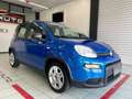 Fiat Panda 1.0 firefly hybrid s&s 70cv 5pti Blu/Azzurro - thumbnail 4