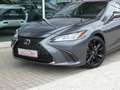 Lexus ES 300 F-Sport Design +Open dak +Dodehoek +LEDER +Zetelverwarming +Apple carplay +Android auto Grau - thumbnail 3