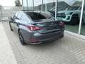 Lexus ES 300 F-Sport Design +Open dak +Dodehoek +LEDER +Zetelverwarming +Apple carplay +Android auto Grau - thumbnail 9