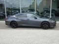 Lexus ES 300 F-Sport Design +Open dak +Dodehoek +LEDER +Zetelverwarming +Apple carplay +Android auto Grau - thumbnail 27