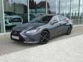 Lexus ES 300 F-Sport Design +Open dak +Dodehoek +LEDER +Zetelverwarming +Apple carplay +Android auto Grau - thumbnail 1