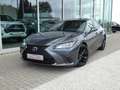 Lexus ES 300 F-Sport Design +Open dak +Dodehoek +LEDER +Zetelverwarming +Apple carplay +Android auto Grau - thumbnail 2
