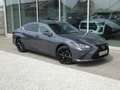Lexus ES 300 F-Sport Design +Open dak +Dodehoek +LEDER +Zetelverwarming +Apple carplay +Android auto Grau - thumbnail 26
