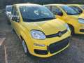 Fiat Panda Pandina 1.0 firefly hybrid Pop s Gelb - thumbnail 3
