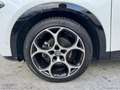 Alfa Romeo Tonale 1.6 diesel 130 CV TCT6 Ti Bianco - thumbnail 9