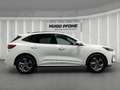 Ford Kuga ST-Line X 1.5 EcoBoost 137kW 8-Gang-Automatik Fron Weiß - thumbnail 6