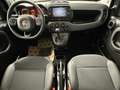 Fiat Panda 1.0 FireFly CROSS Hybrid RED Grigio - thumbnail 8