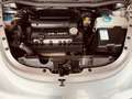 Volkswagen New Beetle Cabrio 1.4 FL NEOPATENTATI - thumbnail 20