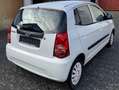 Kia Picanto Weiß - thumbnail 5