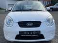 Kia Picanto Weiß - thumbnail 3