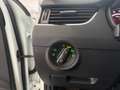Skoda Octavia wagon 2.0 tdi rs 184cv dsg my18 Bianco - thumbnail 13