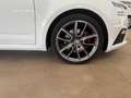 Skoda Octavia wagon 2.0 tdi rs 184cv dsg my18 Blanc - thumbnail 27