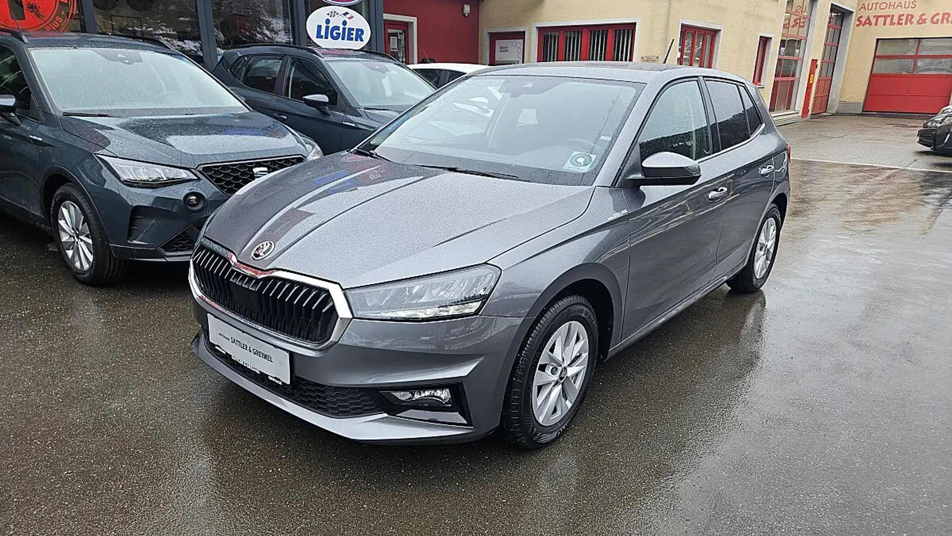 Skoda Fabia Selection 1,0 TSI DSG Grau - 2