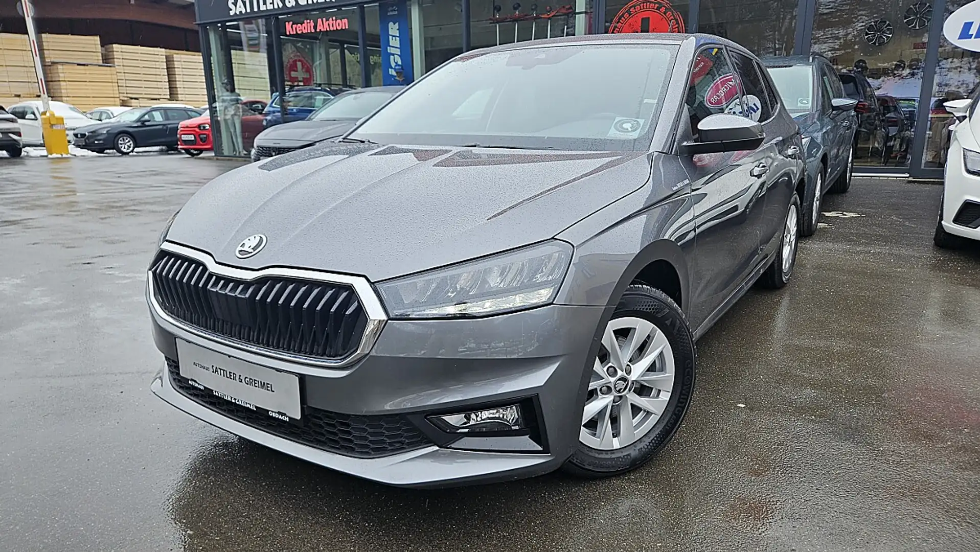 Skoda Fabia Selection 1,0 TSI DSG Grau - 1