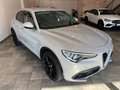Alfa Romeo Stelvio 2.2 Turbodiesel 210 CV AT8 Q4 Ti Silber - thumbnail 3