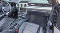 Ford Mustang GT 5.0 V8 Fifty Anniversary Edition Cabrio, Autom. Schwarz - thumbnail 19