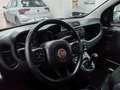 Fiat Panda 1.2 Easy 5POSTI COMANDI VOL.  PREZZO REALE Grigio - thumbnail 9