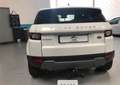 Land Rover Range Rover Evoque 2.0eD4 Pure 2WD 150 Weiß - thumbnail 6
