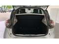Renault ZOE Experience R110 Z.E.50 Kaufbatterie SHZ+CCS Grau - thumbnail 12