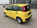 Fiat Panda ------VERKAUFT------- Gelb - thumbnail 4