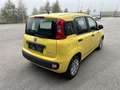 Fiat Panda ------VERKAUFT------- Gelb - thumbnail 3