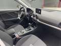 Audi Q2 30 TFSI advanced 1. Hand 8fach bereift - thumbnail 8