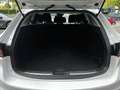 Mazda 6 Kombi 2.5 Exclusive-Line ACT-P *NAVI*abn.AHK*360° Weiß - thumbnail 9