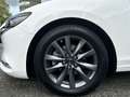 Mazda 6 Kombi 2.5 Exclusive-Line ACT-P *NAVI*abn.AHK*360° Weiß - thumbnail 5