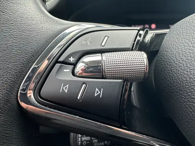 Skoda Kodiaq view 9