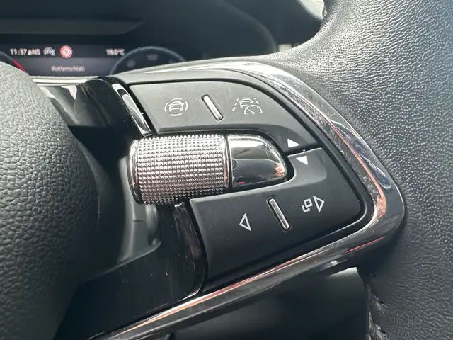 Skoda Kodiaq view 10