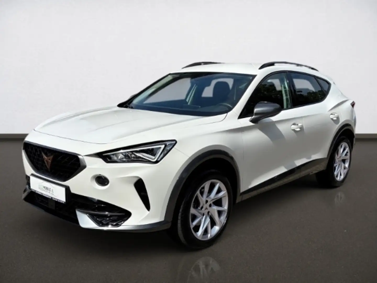 CUPRA Formentor 1.5 TSI 110 KW Clima PDC FullLink Weiß - 2