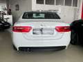 Jaguar XE XE 20d AWD Aut. Pure Weiß - thumbnail 2