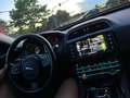 Jaguar XE XE 20d AWD Aut. Pure Weiß - thumbnail 8