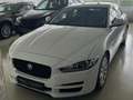 Jaguar XE XE 20d AWD Aut. Pure Weiß - thumbnail 1