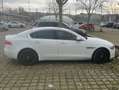 Jaguar XE XE 20d AWD Aut. Pure Weiß - thumbnail 5