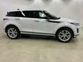 Land Rover Range Rover Evoque P300e AWD SE 20"+PANO+HUD+RFK Blanc - thumbnail 4