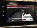 Citroen C4 Cactus AUTOM. BENZINA "SHINE" TETTO PANORAMICO Rot - thumbnail 16