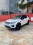 Land Rover Discovery Sport 2.0TD4 SE 4x4 150 Fehér - thumbnail 8