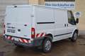 Ford Transit 125T330 Trend Klima Standheizung Regale Blanco - thumbnail 6