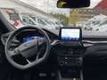 Ford Kuga 2.5 l Duratec Hybrid (FHEV) ST-Line X Autom. AWD N Weiß - thumbnail 12
