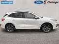 Ford Kuga 2.5 l Duratec Hybrid (FHEV) ST-Line X Autom. AWD N Weiß - thumbnail 7