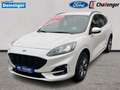 Ford Kuga 2.5 l Duratec Hybrid (FHEV) ST-Line X Autom. AWD N Weiß - thumbnail 4