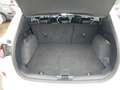 Ford Kuga 2.5 l Duratec Hybrid (FHEV) ST-Line X Autom. AWD N Weiß - thumbnail 24