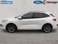Ford Kuga 2.5 l Duratec Hybrid (FHEV) ST-Line X Autom. AWD N Bianco - thumbnail 6