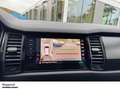 Skoda Kodiaq 2.0 TDI RS 4M DSG AHK PANO NAVI ACC KAM LED SHZ PD Zwart - thumbnail 15
