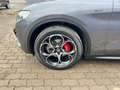Alfa Romeo Stelvio Sprint Q4 Veloce Paket mit AHK Grau - thumbnail 12