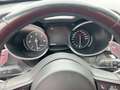 Alfa Romeo Stelvio Sprint Q4 Veloce Paket mit AHK Grau - thumbnail 27